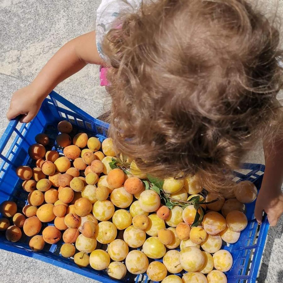 Cascina Valtignosa Camere Con Vigna Cassine Exterior foto