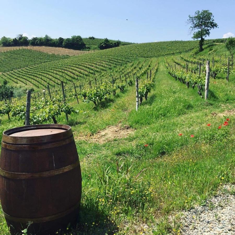 Cascina Valtignosa Camere Con Vigna Cassine Exterior foto